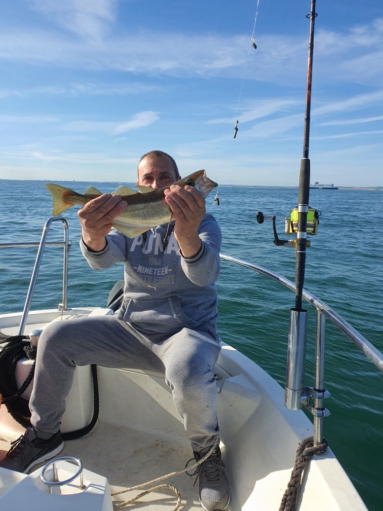 lieu jaune sortie Peche en bateau 