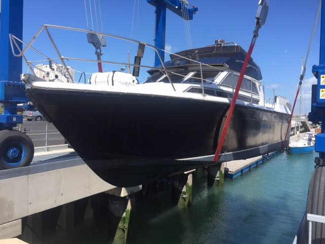 Black pearl 2